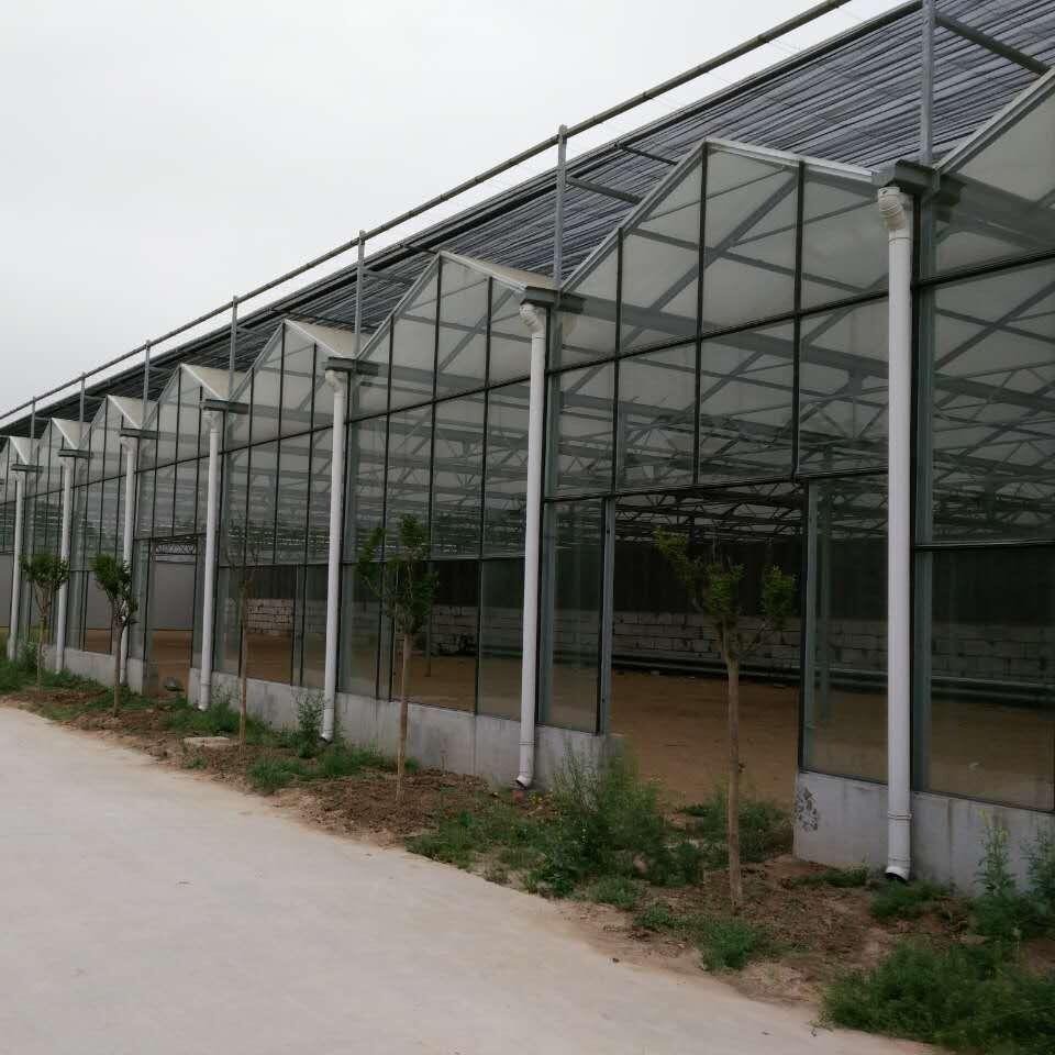 承建玻璃温室 跨度12米玻璃温室大棚 玻璃温室大棚 博伟