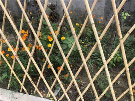 正万护栏浙江湖州新农村庭院栏,热镀锌钢护栏，PVC竹篱笆