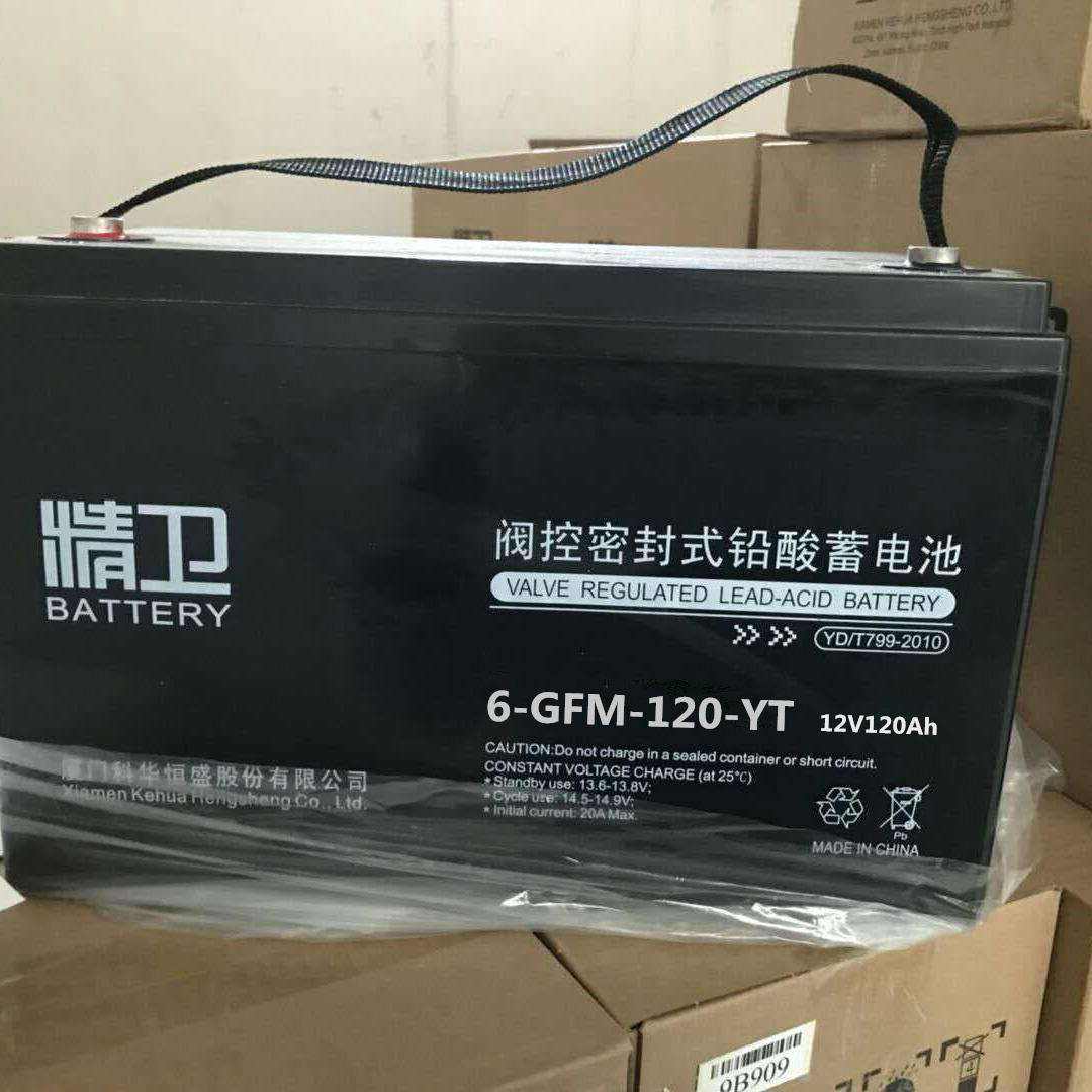 精卫蓄电池6-GFM-100-YT 12V100ah蓄电池价格