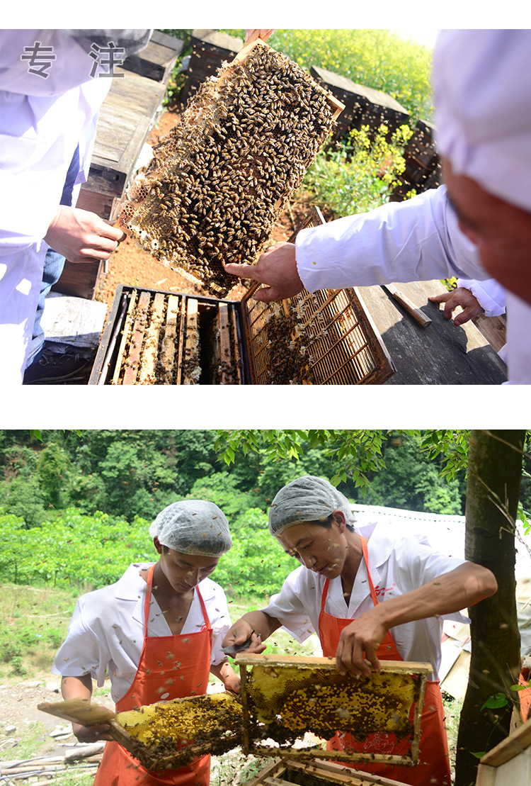 100公斤桶装散装蜂蜜土蜂蜜野生蜜 蜂蜜原料经销批发 出口品质示例图10
