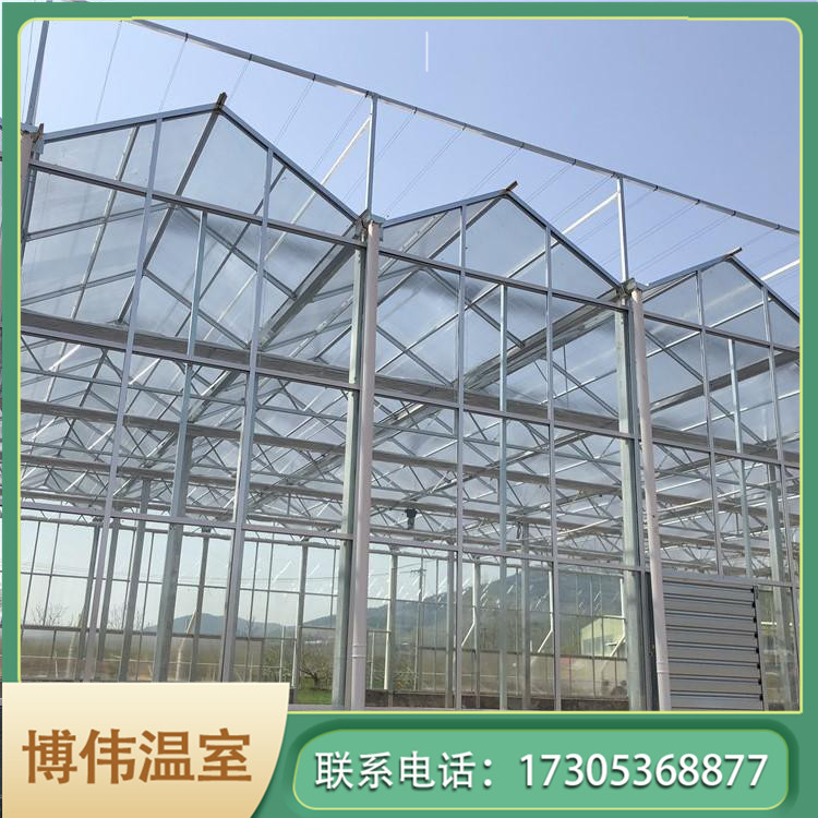 智能玻璃温室价格 现代化智能温室大棚 温室钢结构大棚 博伟 BW