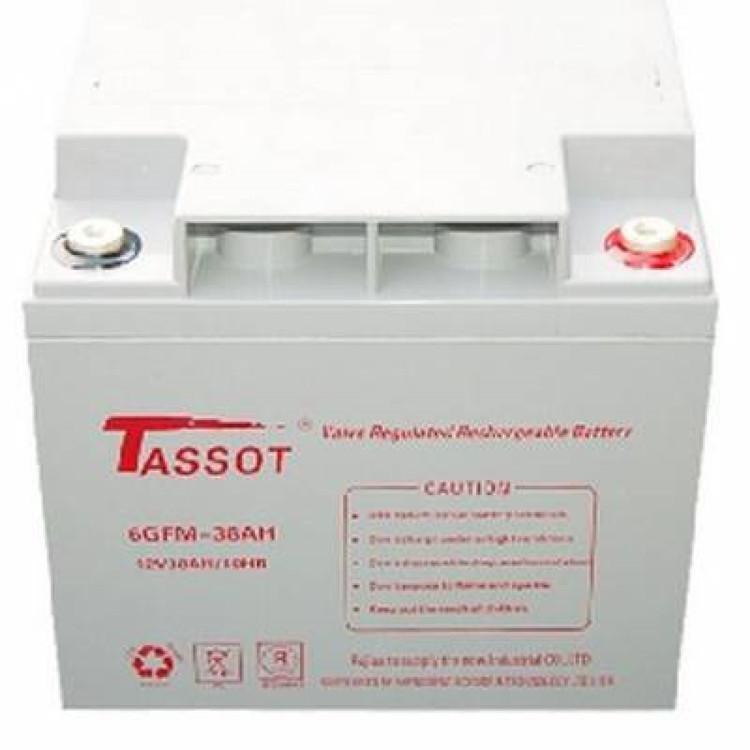 TASSOT蓄电池TST12V38AH泰斯特蓄电池12V38AH直流屏 高低压配电柜配套 UPS不间断电源