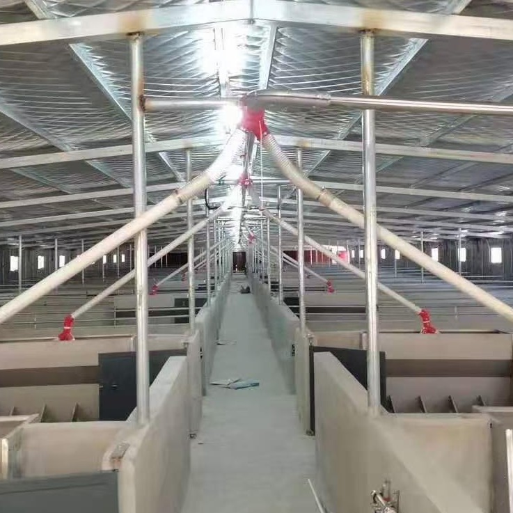 猪场自动化喂料系统 全自动料线 料塔料线生产厂家