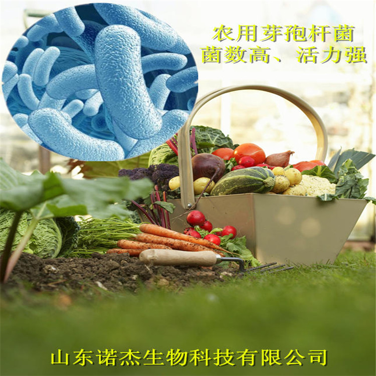 有机蔬菜水果em菌 饲料添加剂em菌 氨气降解em菌  诺杰