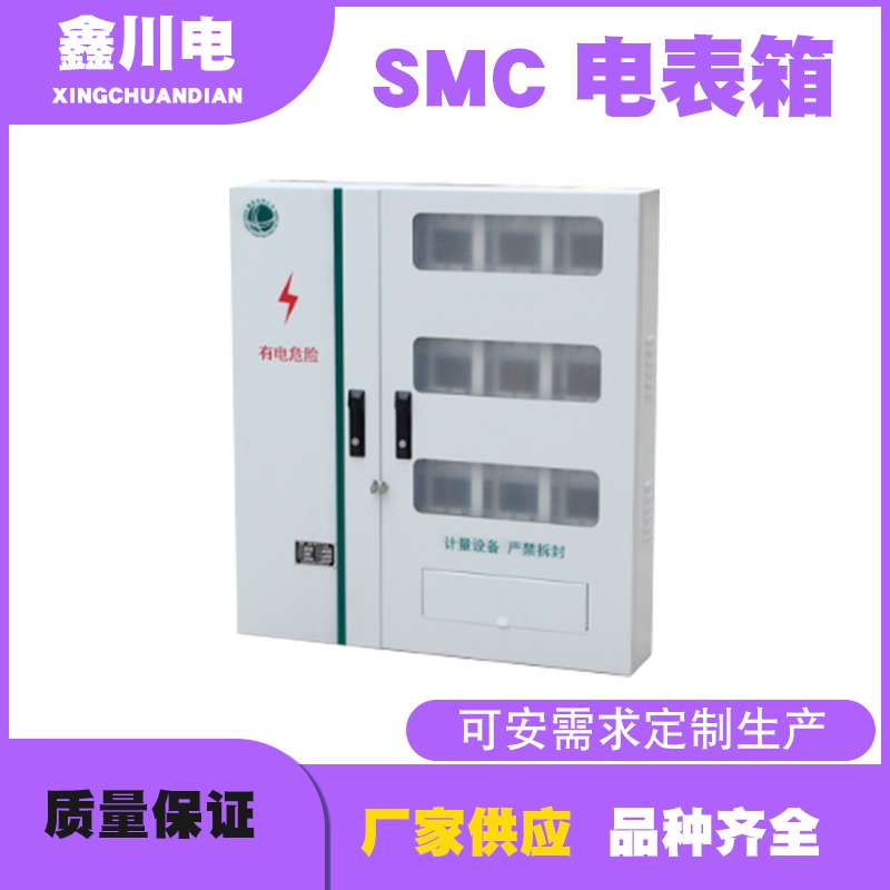 SXM电表箱定制,成都电表箱厂家, 四川电表箱厂家直销,鑫川电图片