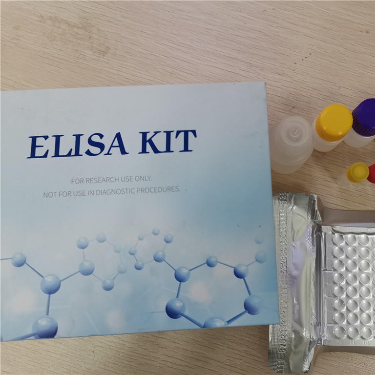 大鼠糖原合成酶激酶试剂盒 GSK elisa试剂盒 仑昌硕生物图片