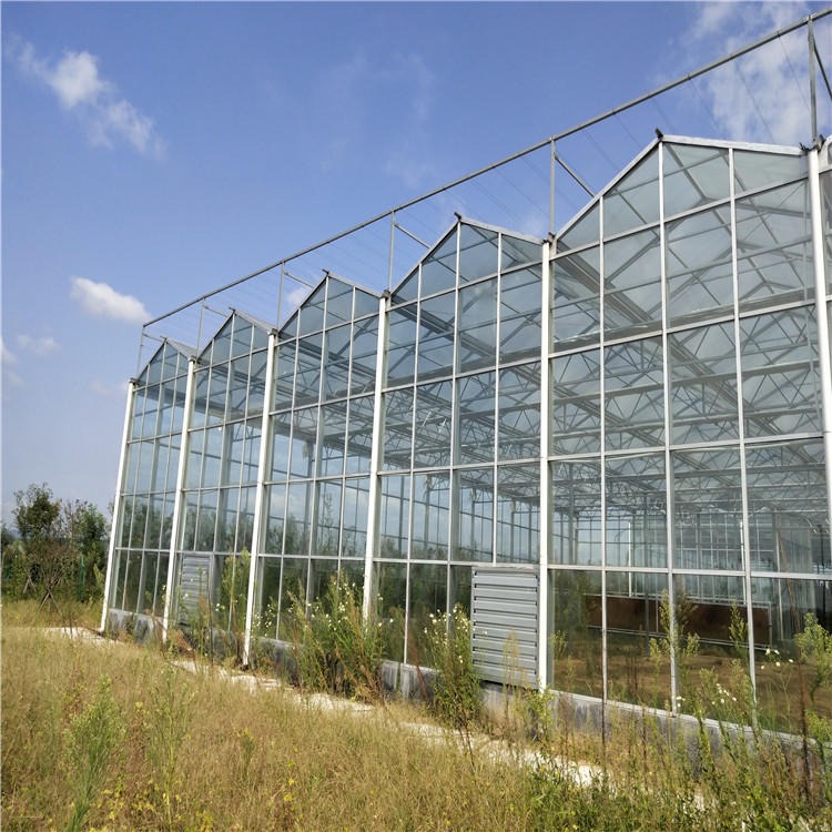 博伟 智能玻璃温室 玻璃温室 花卉玻璃温室大棚