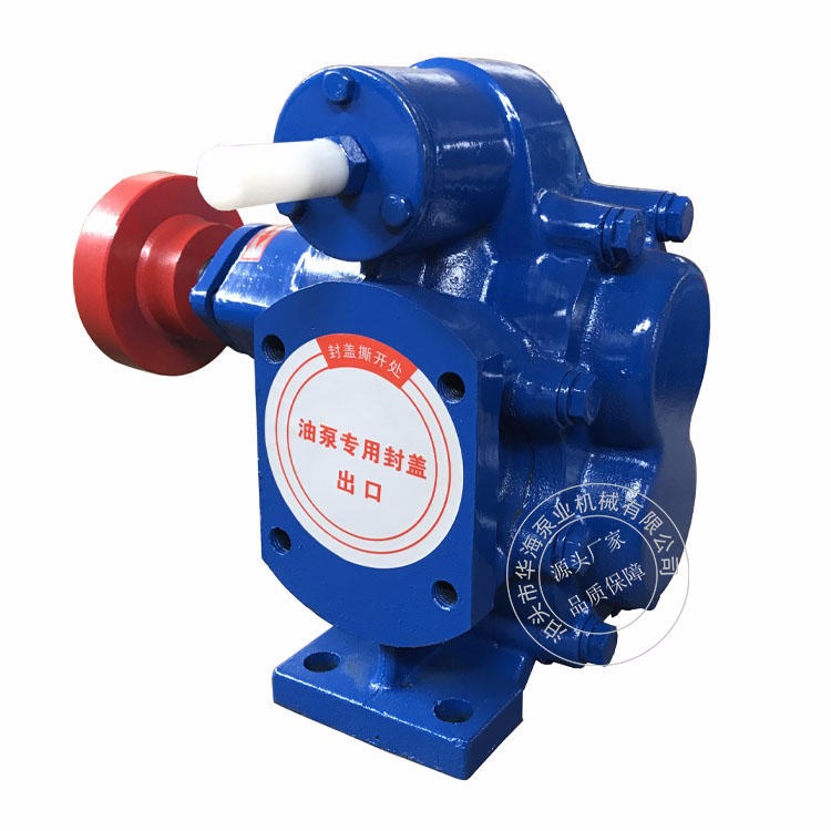 厂家供应齿轮油泵 KCB-200大流量电动铸铁齿轮泵 型号齐全 耐磨润滑油 重油泵