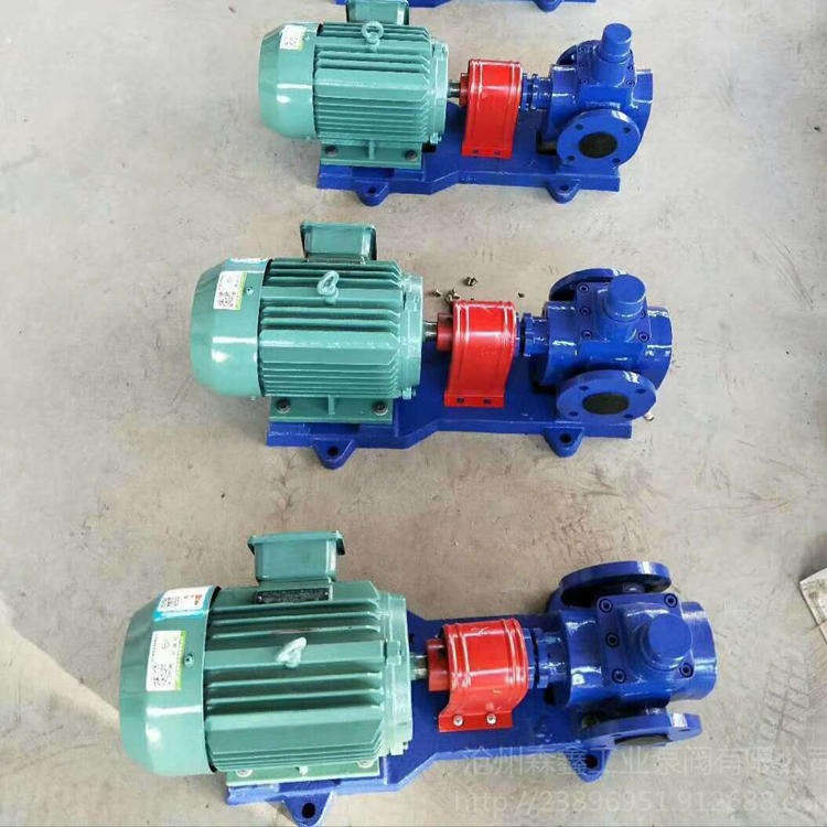 森鑫泵业 可调节流量圆弧齿轮泵 YHCB铜轮圆弧泵 低噪音圆弧泵图片