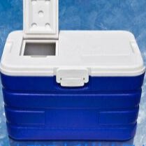 冷藏箱/药箱/车载家用冷藏箱 型号:LL177-65L 其他库号：M25852图片