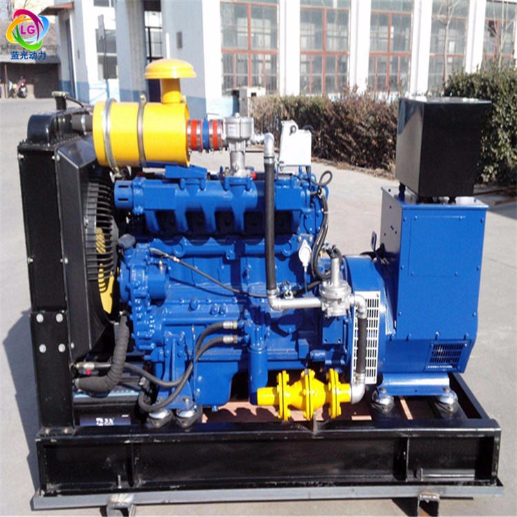蓝光动力供应 沼气发电机 沼气发电机组  低噪音双燃料发电机