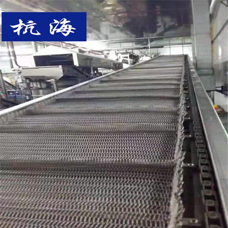 杭海机械 网带输送机 塑料链板输送机生产厂家 可定制