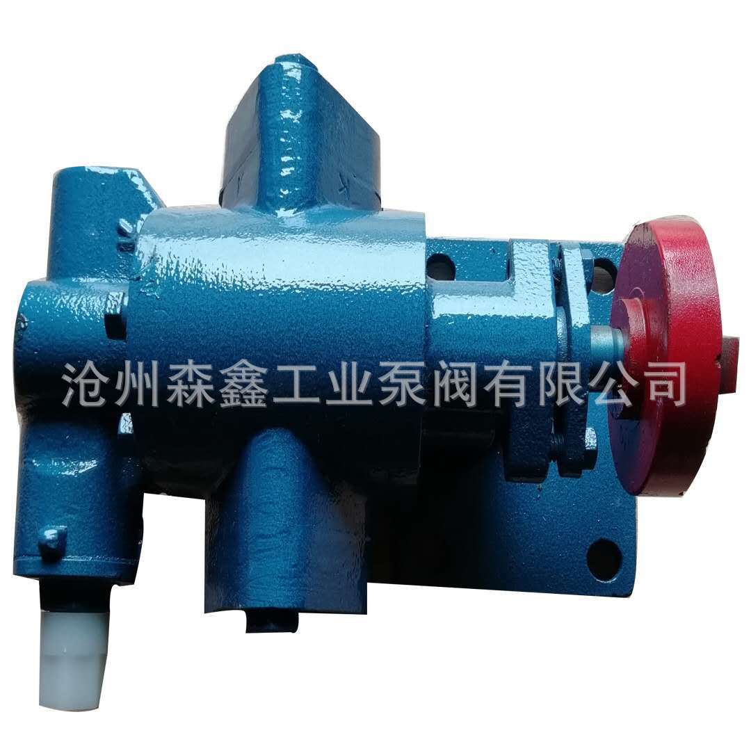 大量批发KCB系列铸铁 化工液体输送泵 内啮合小型齿轮泵示例图9