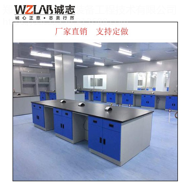 WZLAB 实验台 WZ-SYT 大学中学小学实验室实验台 钢木全钢pp材质图片