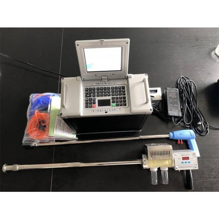 青岛路博LB-3040型紫烟气分析仪