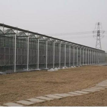 潍坊建达温室 玻璃连栋 智能玻璃连体温室 玻璃智能育苗 玻璃无土栽培 玻璃温室大棚