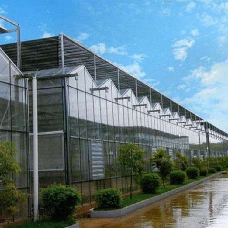 连栋温室建设 智能温室 玻璃温室花卉房 博伟