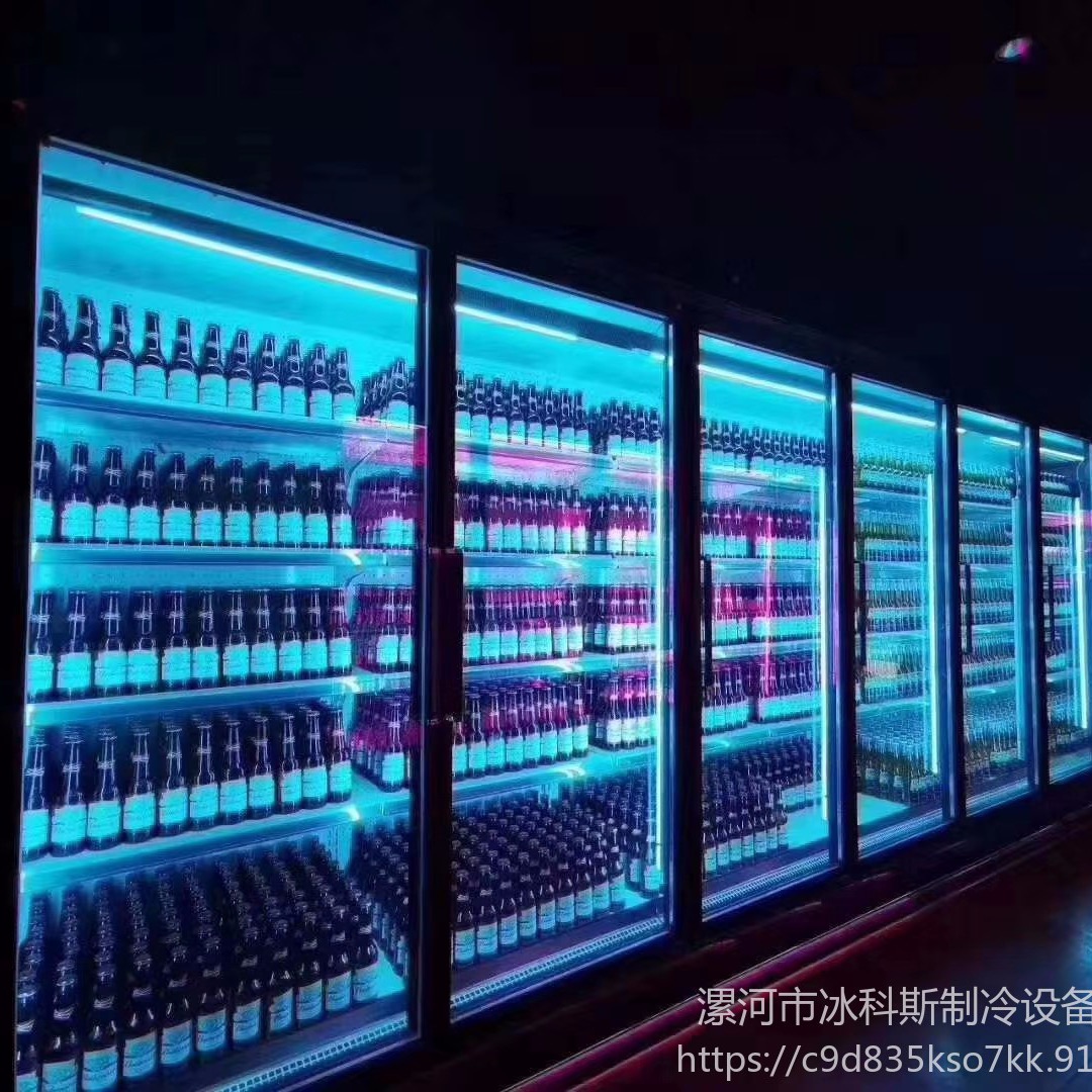 饮料柜 低温饮品展示柜 可乐展示柜 工厂直供 未来雪冷柜 WLX-YLG110图片