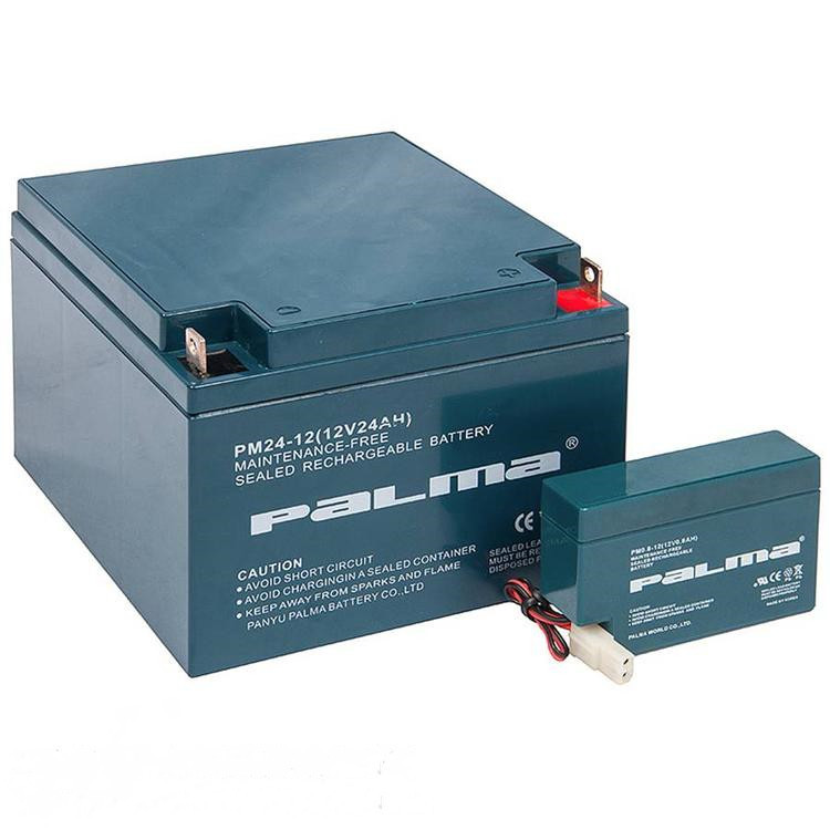 PaLma蓄电池PM100-12韩国八马铅酸蓄电池12V100AH原装现货示例图10