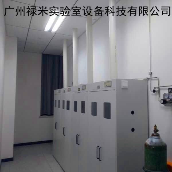 禄米实验室 定制气瓶柜 安全防火气瓶柜 安全柜 全钢定制气瓶柜 实验室家具LM-QPG1674