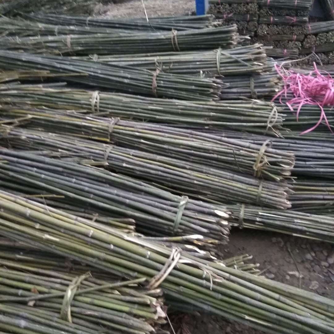 产地直供竹竿 细竹竿 小竹竿 树木支撑  毛竹梢 竹片