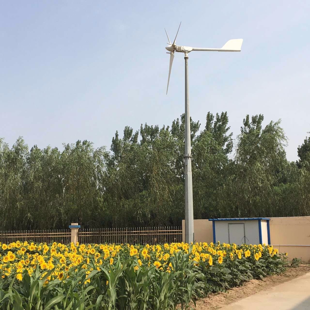辽宁并网小型风力发电机组5kw风力发电机永磁低速发电机晟成定做图片