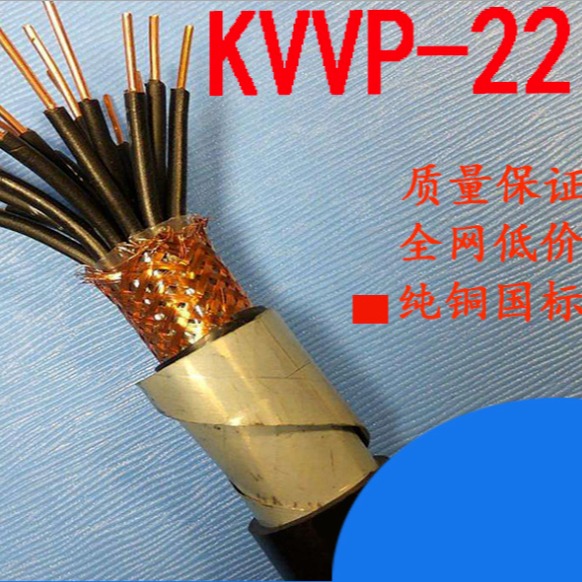安徽安东电缆 铠装控缆KVVP22-8 10 12 14 16芯1.0 1.5 2.5 4 铠装控制电缆线图片