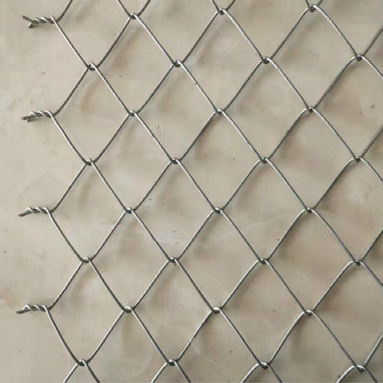 在线生产护坡机编钢丝网 喷播菱形勾花网 铺公路防裂钢丝网图片