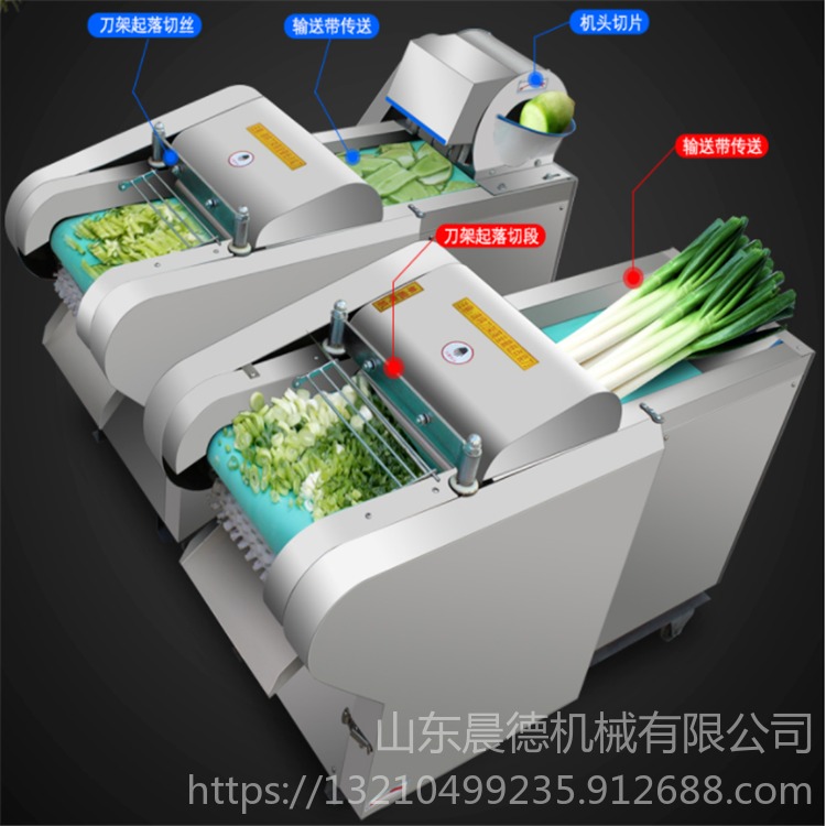 晨德 萝卜小瓜切片机 不锈钢材质切菜机 咸菜荠菜电动切丝机图片