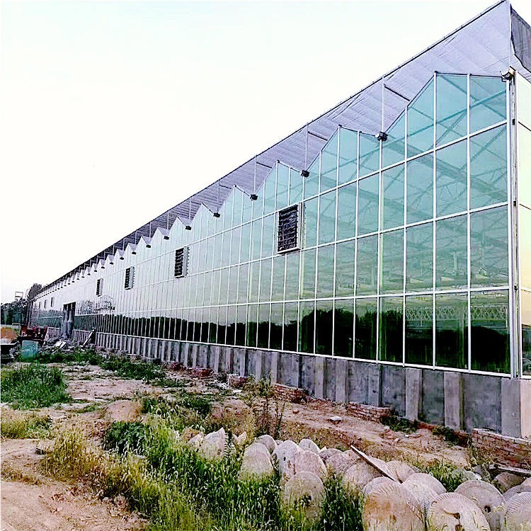 上海温室工程承建 连栋温室大棚建造 温室大棚公司 旭航温室1