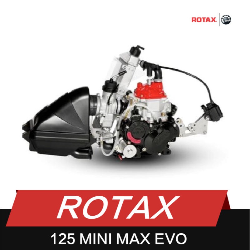 二冲卡丁车Rotax 125 mini max evo发动机 竞赛卡丁车发动机图片