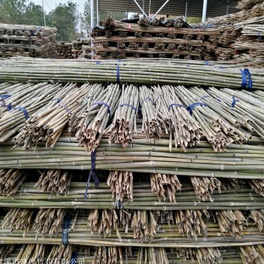 京西竹业 1米-4米架竹杆 菜架竹 2米-3米支撑杆 毛竹尾 3米-6米苦竹 白竹图片