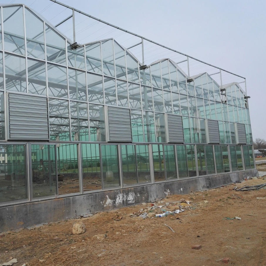 博伟 玻璃智能温室 盆景玻璃温室 现代化玻璃温室