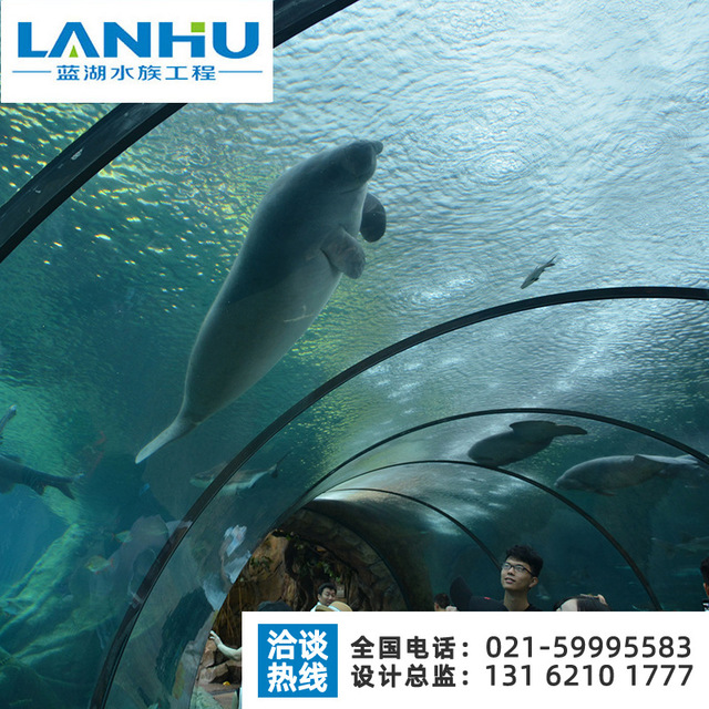 lanhu商用海洋馆施工造景 设计海洋馆水族工程 优质水族鱼缸设备施工