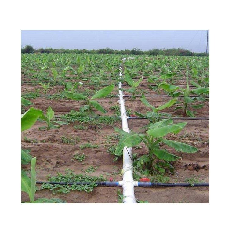 梯田香蕉节水灌溉设施 香蕉园灌溉施肥系统 灌溉塑料管干管支管毛管