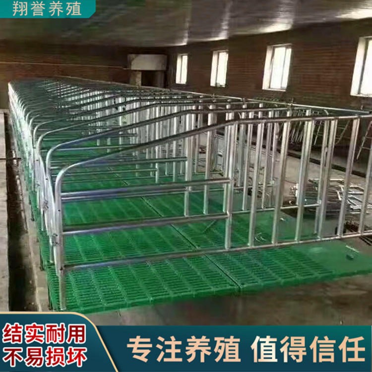 猪场大规模安装限位栏 定位栏厂家 使用定位栏的好处 翔誉