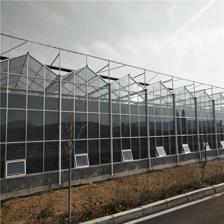 农业玻璃温室 供应温室大棚骨架 智能玻璃温室 博伟