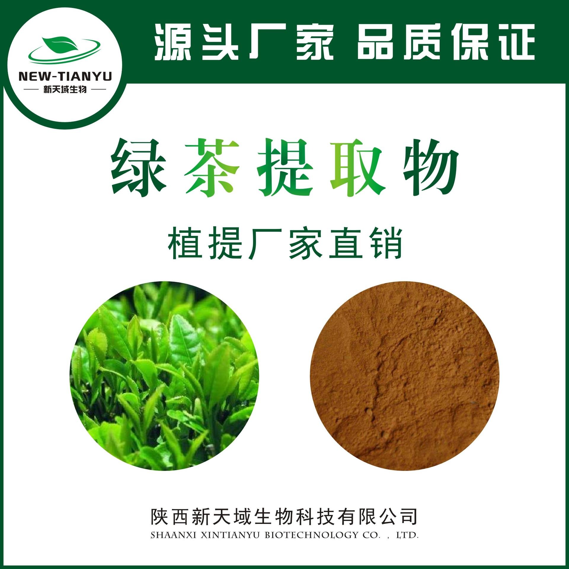 绿茶提取物 绿茶粉 绿茶萃取物 绿茶浓缩粉 绿茶喷雾干燥粉 生产厂家 厂家现货