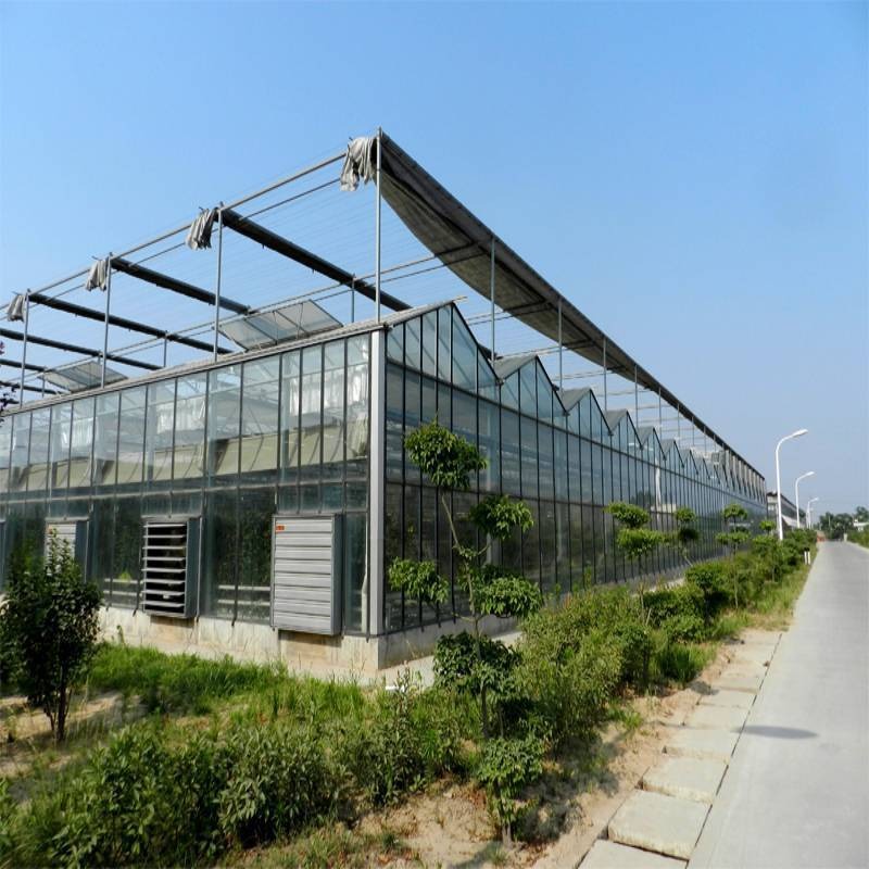 智能玻璃温室 玻璃温室 简易蔬菜玻璃温室 博伟