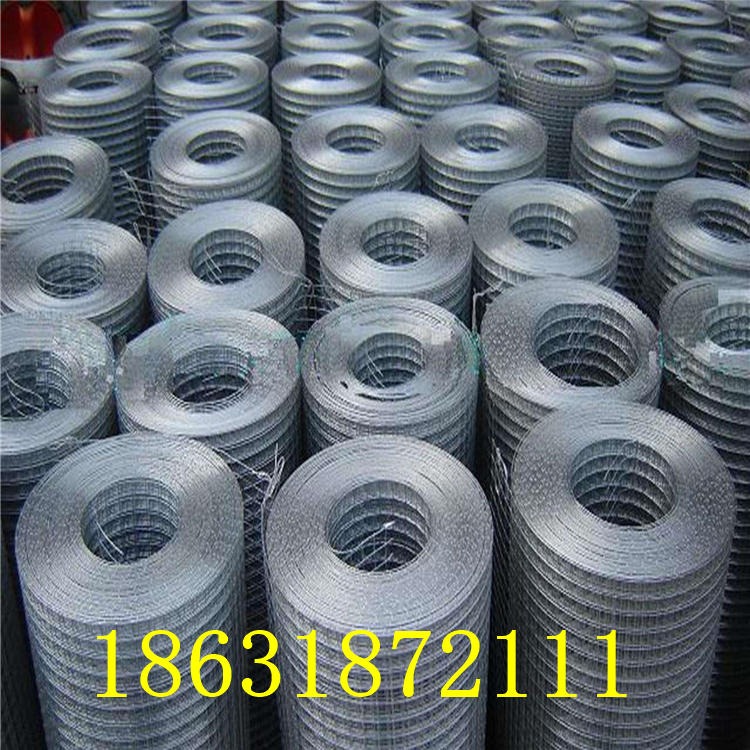 龙润生产镀锌焊接网 浸塑电焊网 养殖铁丝网 养殖电焊网直销