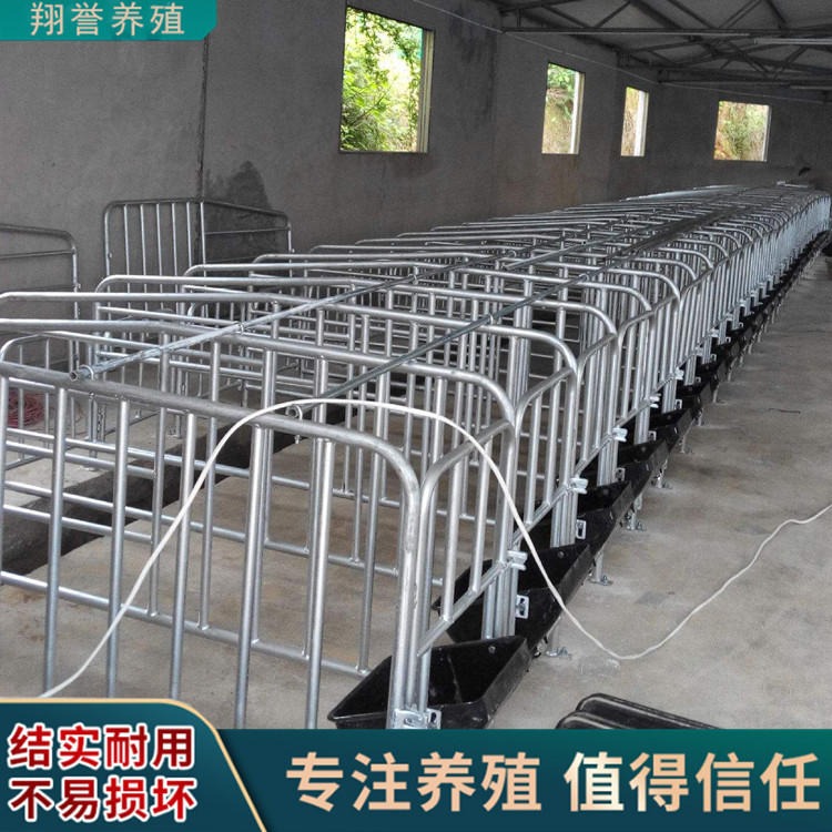 落地式母猪产床 定位栏限位栏 简易产床单个猪位 翔誉养猪设备
