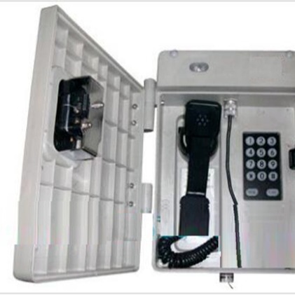 FF传呼型特种电话机 扩音呼叫室外电话机 型号CY24-HAT86(XII)P/T-D库号M393527中西图片