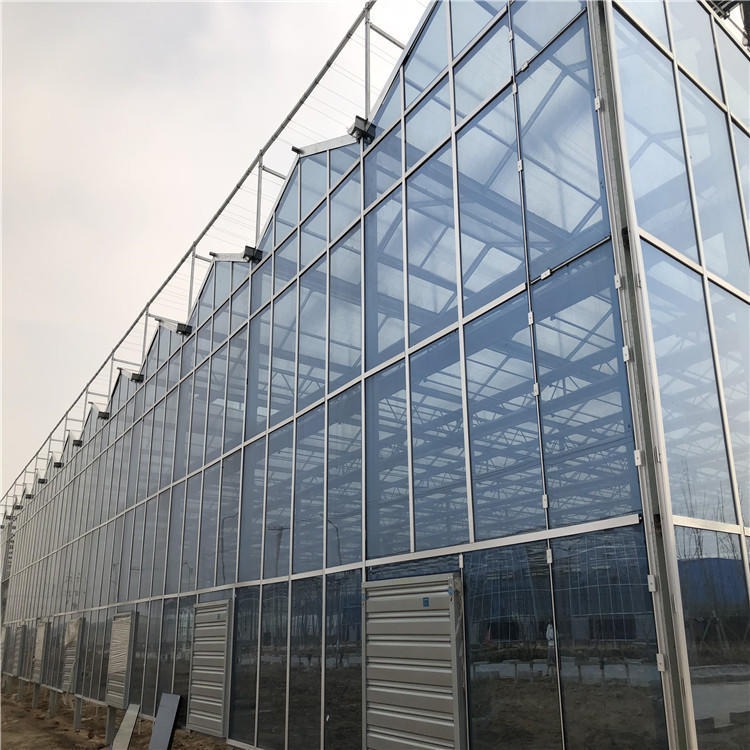 现代化玻璃温室 花卉玻璃温室 玻璃温室大棚 博伟