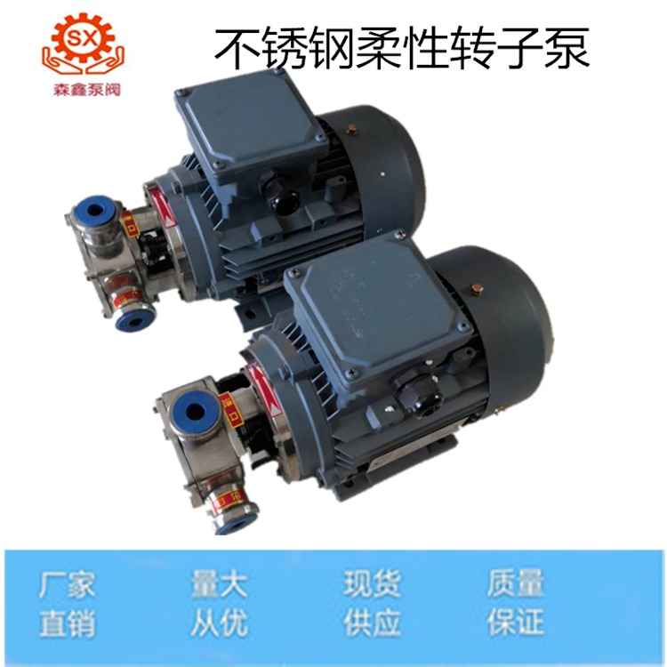 挠性泵RZB4.8方柔性转子泵 RXB-40防爆不锈钢挠性转子泵 齿轮泵