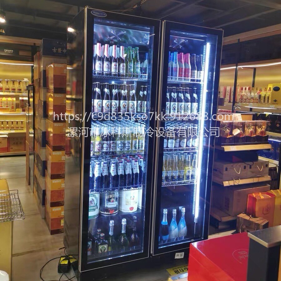 上海全屏展示柜 饮料柜 立式啤酒冷藏保鲜柜 商用双门冰箱 三门冷柜 未来雪冷柜WLX-QP-03图片