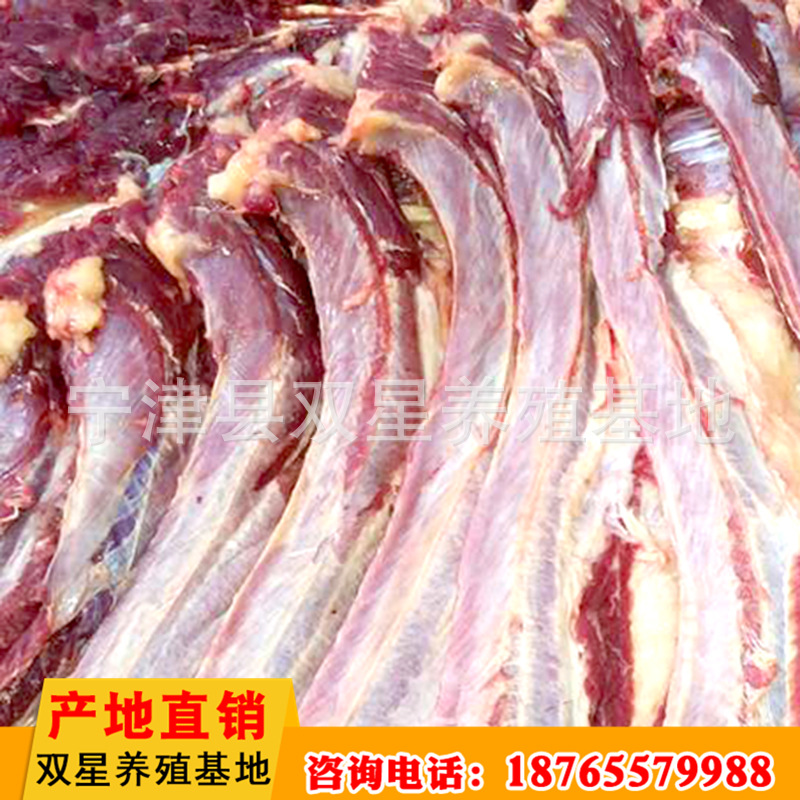 直销鲜马肉 新鲜营养肋条肉 低温储藏运输肉质鲜美马肉批发示例图18
