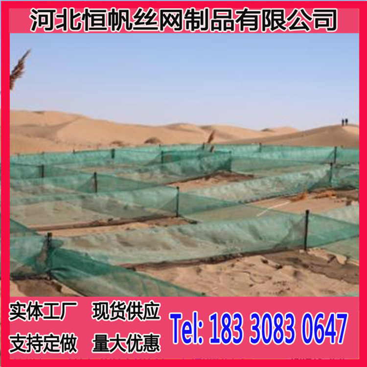 PE网片阻沙网农业用网高密度HDPE尼龙网格沙障厂家，高立式防沙网示例图3