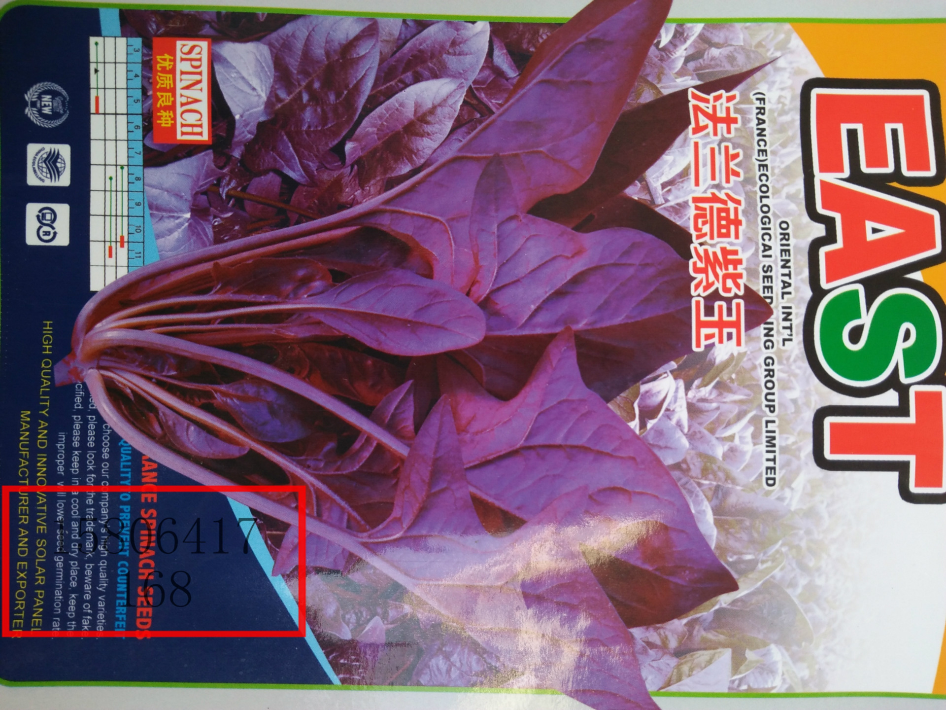 紫色菠菜种子 观赏营养蔬菜之佳品 济南蔬菜种子新品种示例图1