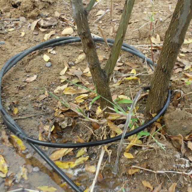新品上市 果树灌溉专用灌根器 环形灌水器 果树根部滴灌 果园灌水