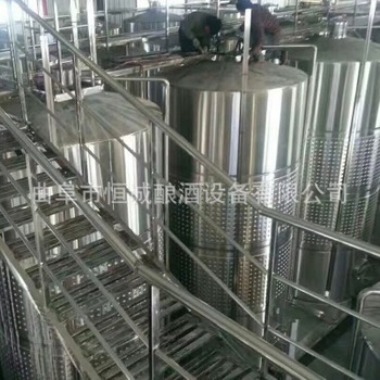 [厂家直销]不锈钢304发酵罐 3吨5吨10吨 酿酒设备 储酒罐定制示例图2